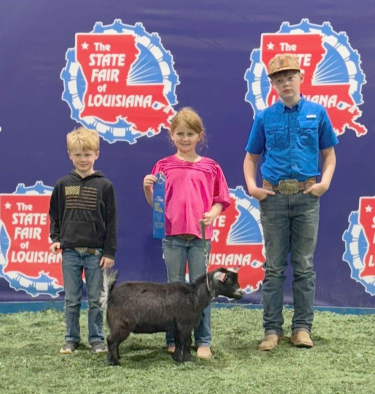 A girl and two boys with a black goat.